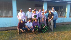 Foto: Viviane Petroli/Agro Olhar