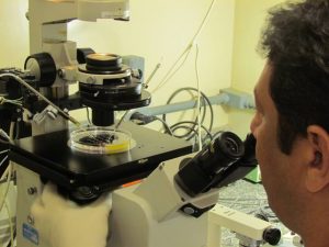 Fonte: Claudio Bezerra Melo/Embrapa