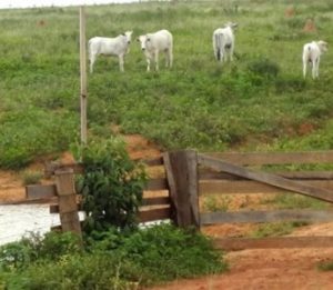 6776c69899c72d8f6df757e37e567761