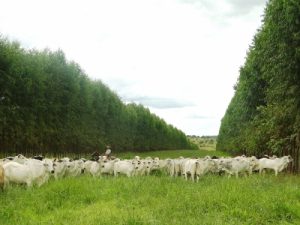 7f60fa7a9ae2f2b2c03fbbf470027fe7