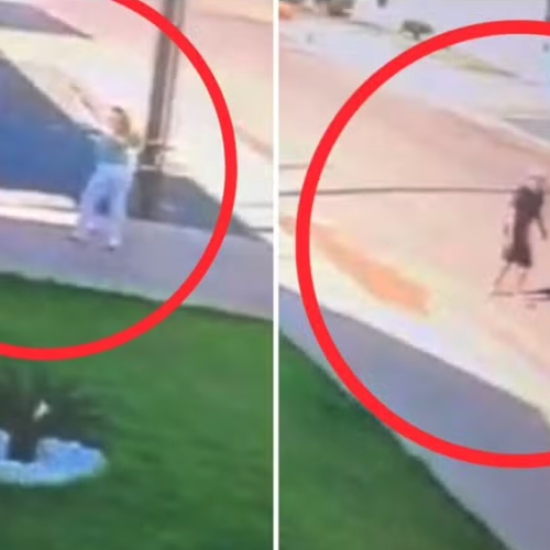 Polícia prende marido e irmão dele que ajudaram mulher e filho a fugir após matarem idosos no MT